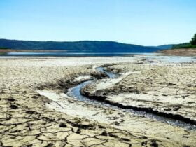 Дністер на Буковині обмілів