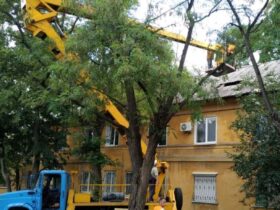 Відновлення покрівель і обрізка дерев у Краматорську