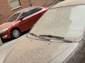 пил на машині