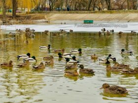 Погода у Краматорську