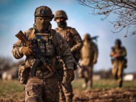день українського добровольця