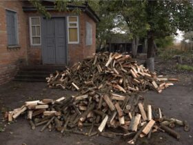 дрова