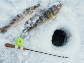 Зимова риболовля