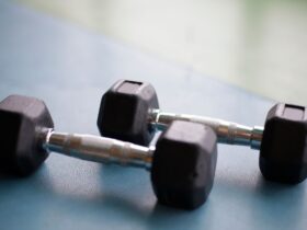 Силові тренажери вдома 2026: який обрати під бюджет