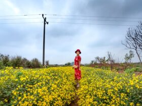 Привітання з Днем ангела Ярини: вірші, СМС і яскраві слова