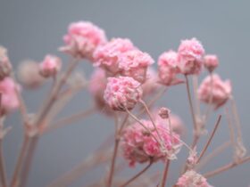 Привітання з народженням доньки: ніжні слова батькам