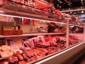Як зберігати м'ясо в холодильнику: свіже, мариноване, фарш