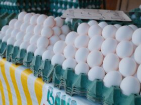 Як зберігати яйця: у холодильнику і без, терміни свіжості